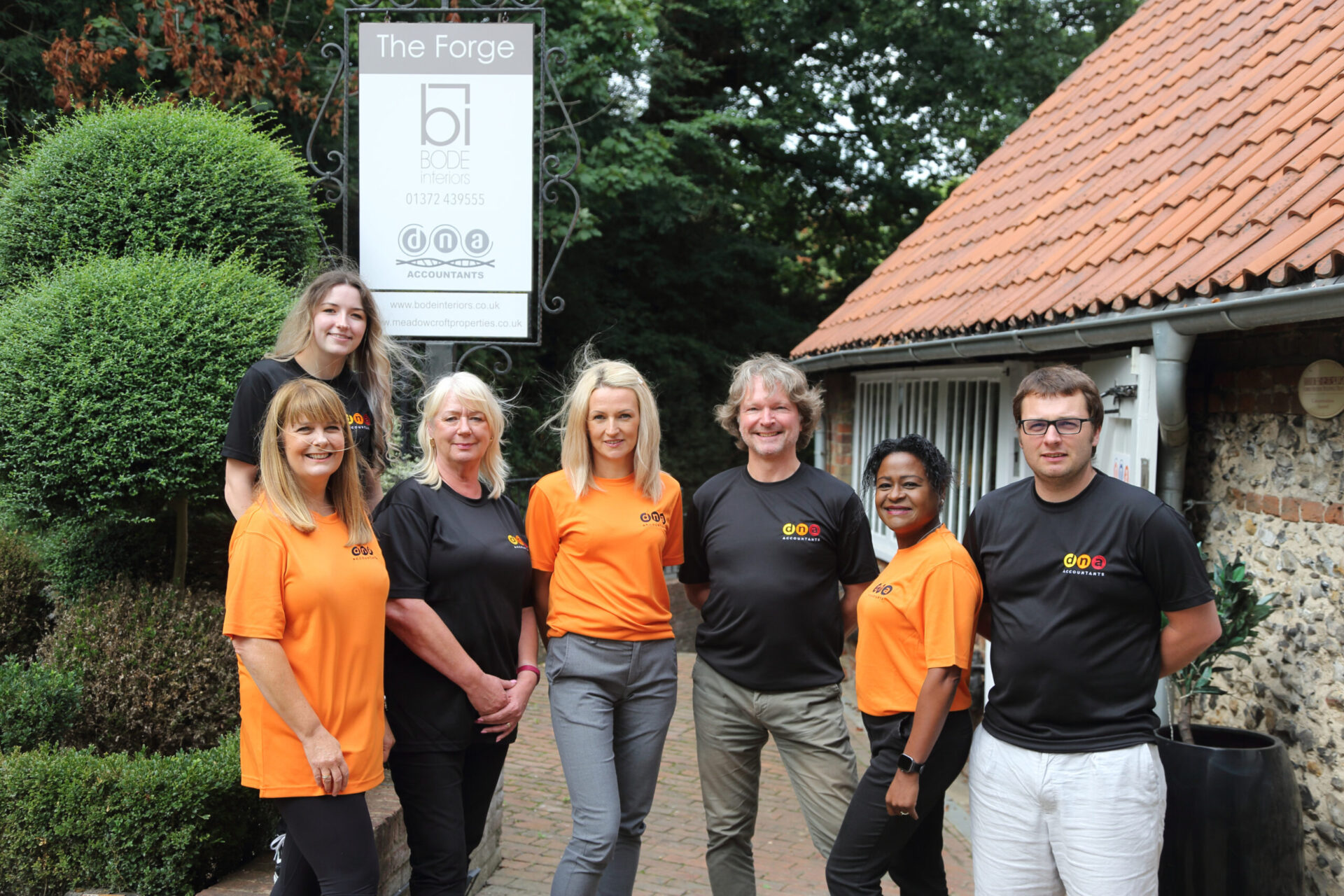 DNA, accountants
